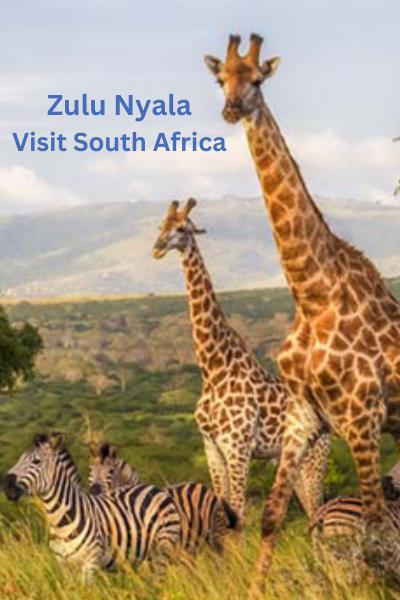 South African Safari for 2