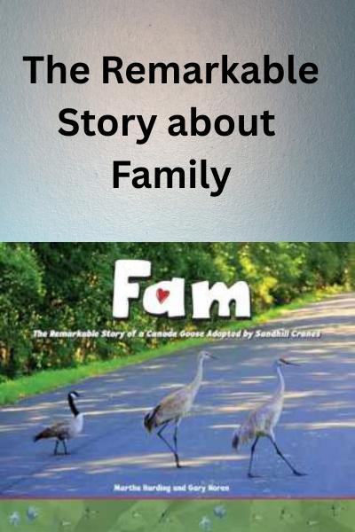 Beautiful Children's Book