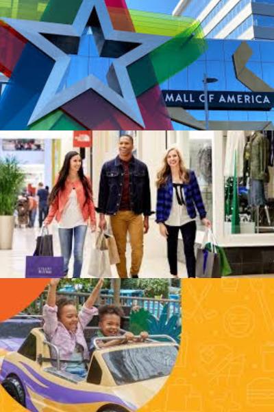 Mall of America Gift Basket