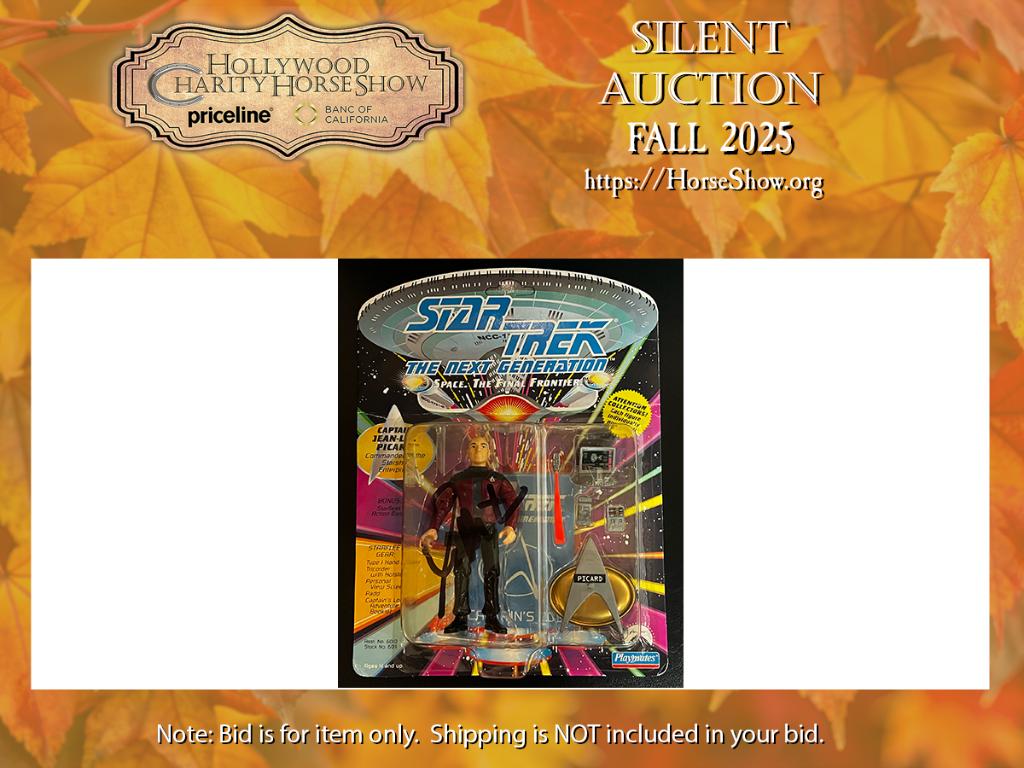 Playmates Star Trek: The Next Generation Captain Jea...