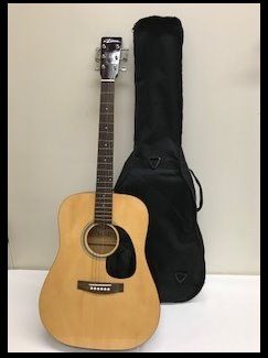 Ariana Acoustic Guitar, Case, and Lessons