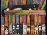 Cat Bookshelf Jigsaw Puzzle