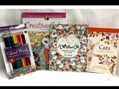 Set of 3 Cat Themed Coloring Books for Adults with Colored Pencils