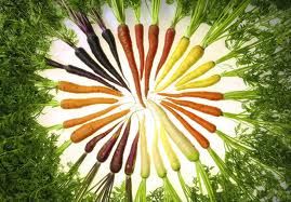 Gourmet Carrots