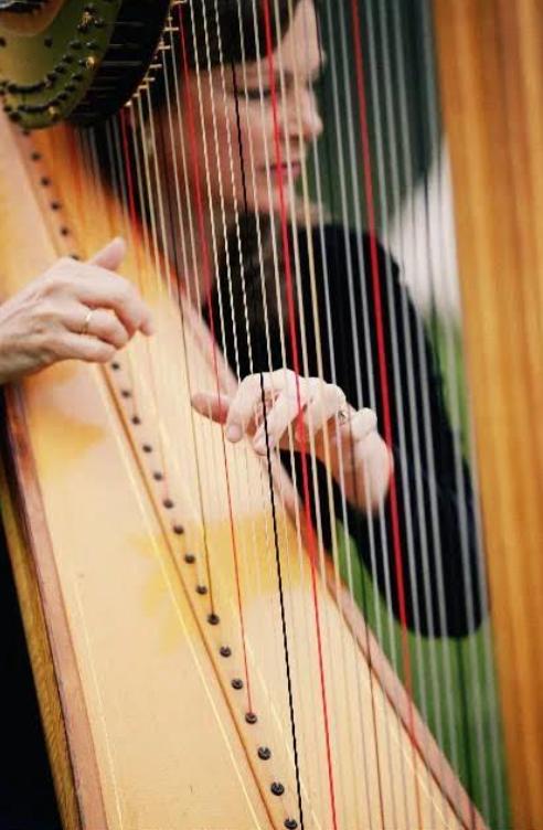 Live Harp Music for Any Occasion (2 hours) + CD