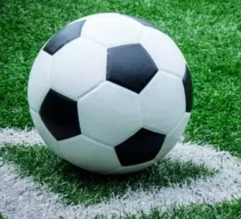 Parent Expert: Kick It Up! Private Soccer Training f...