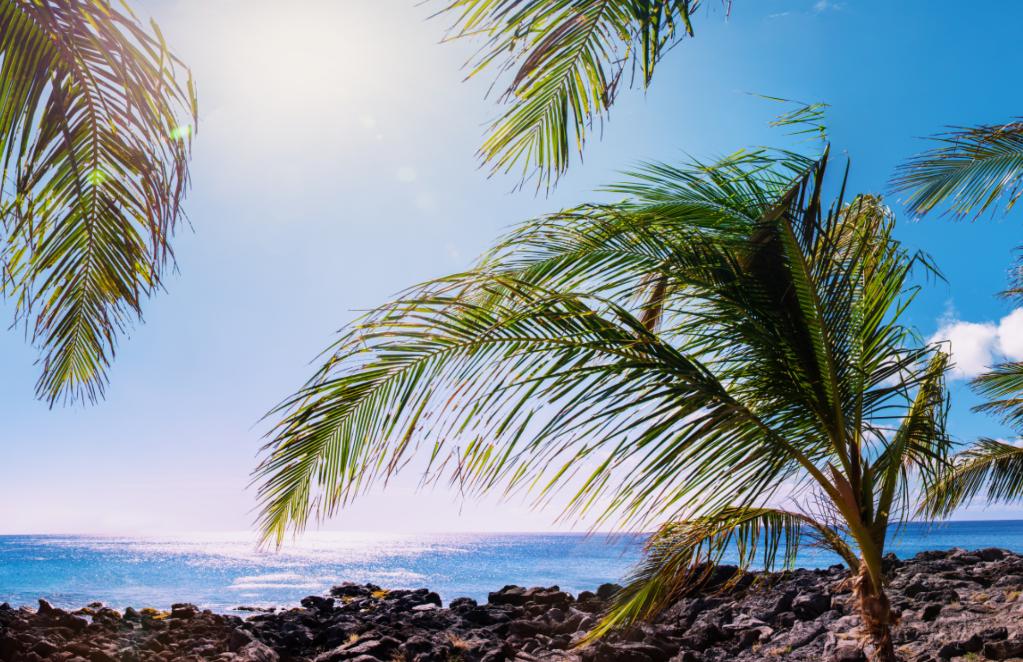 LIVE AUCTION: Hawaiian Getaway
