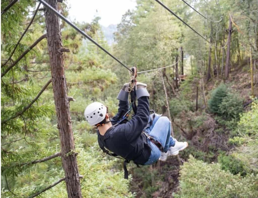 Sonoma Zipline Tour Pass For Two