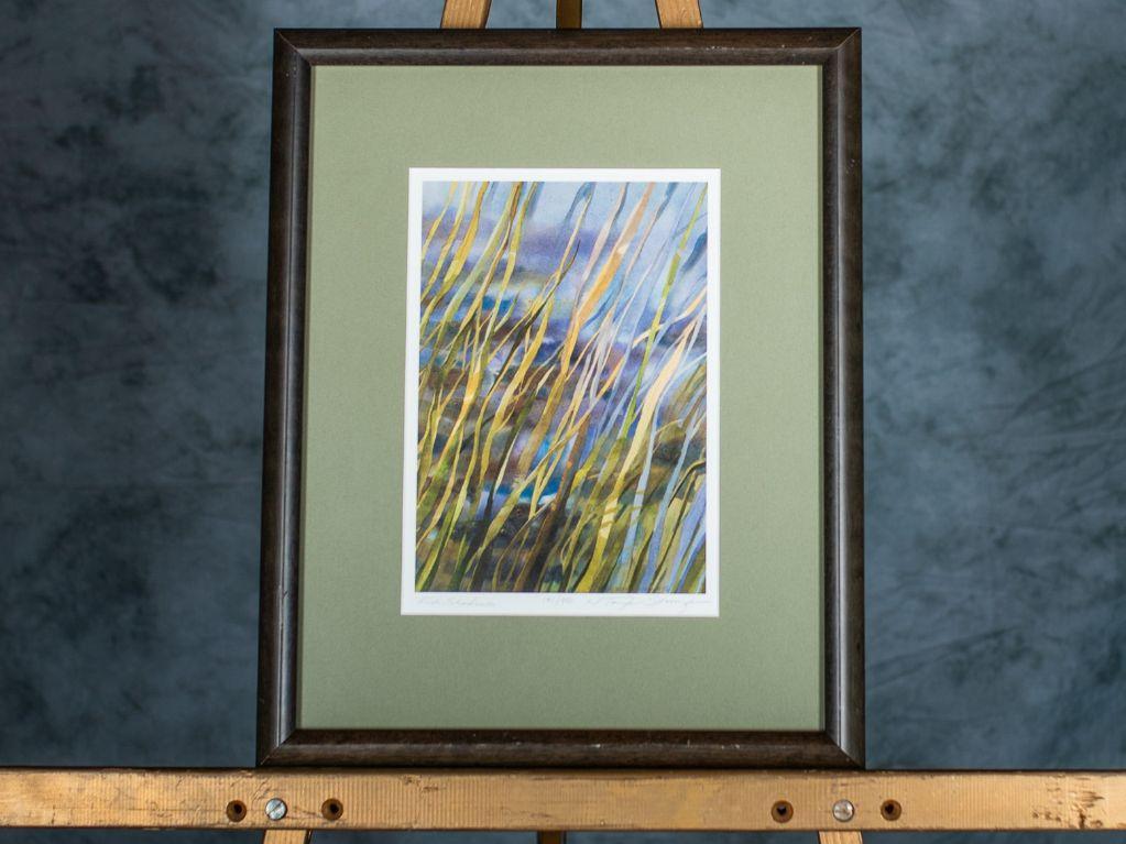 Fish Shadows by Nancy Stonington
