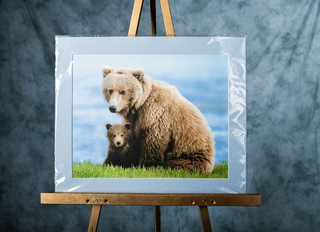 Sow & Cub Photograph
