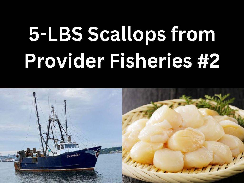 5-LBS Scallops  from Provider Fisheries #1