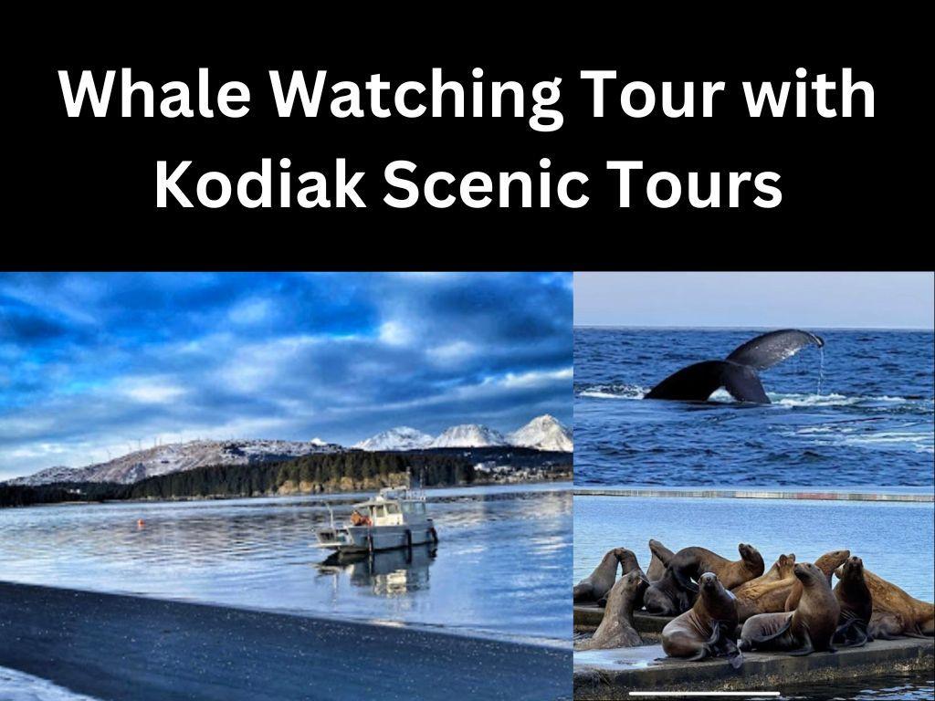 Whale Watching Tour with Kodiak Scenic Tours