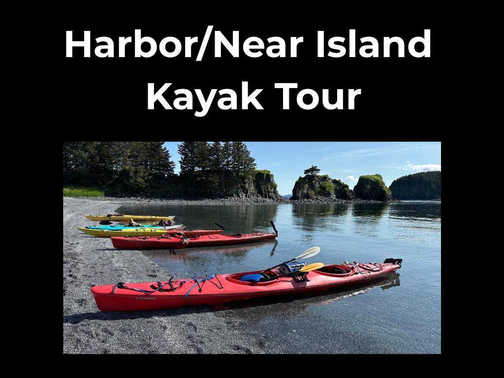 Harbor/Near Island Kayak Tour