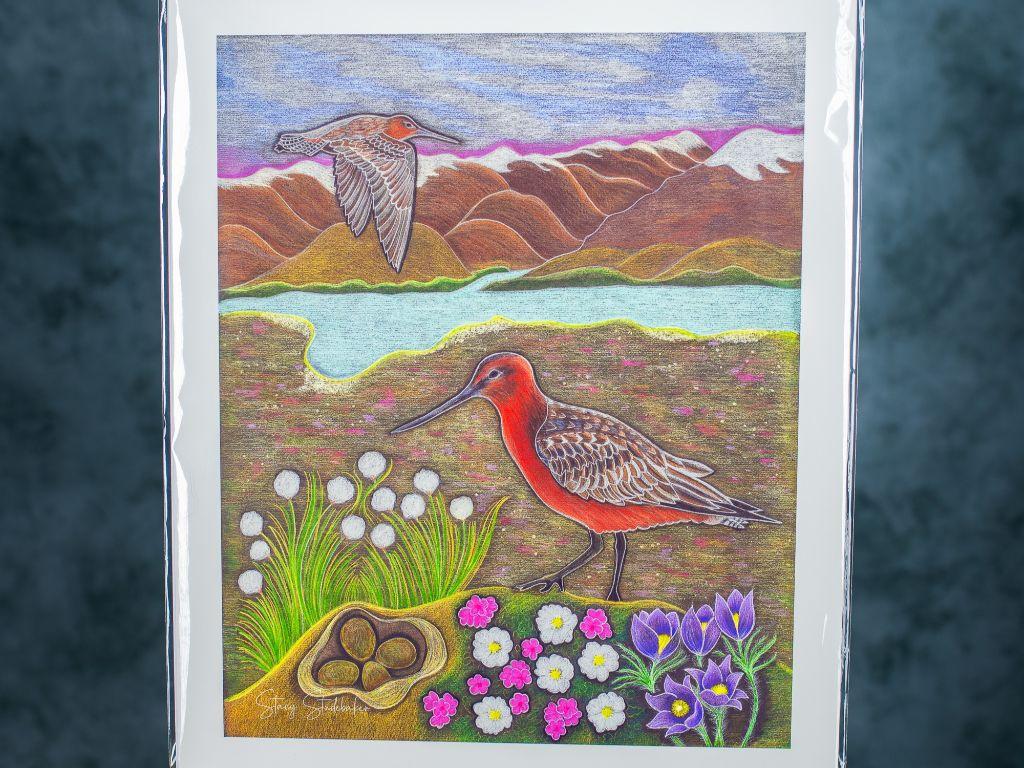 Bar-Tailed Godwit by Stacy Studebaker + Frame Shop G...