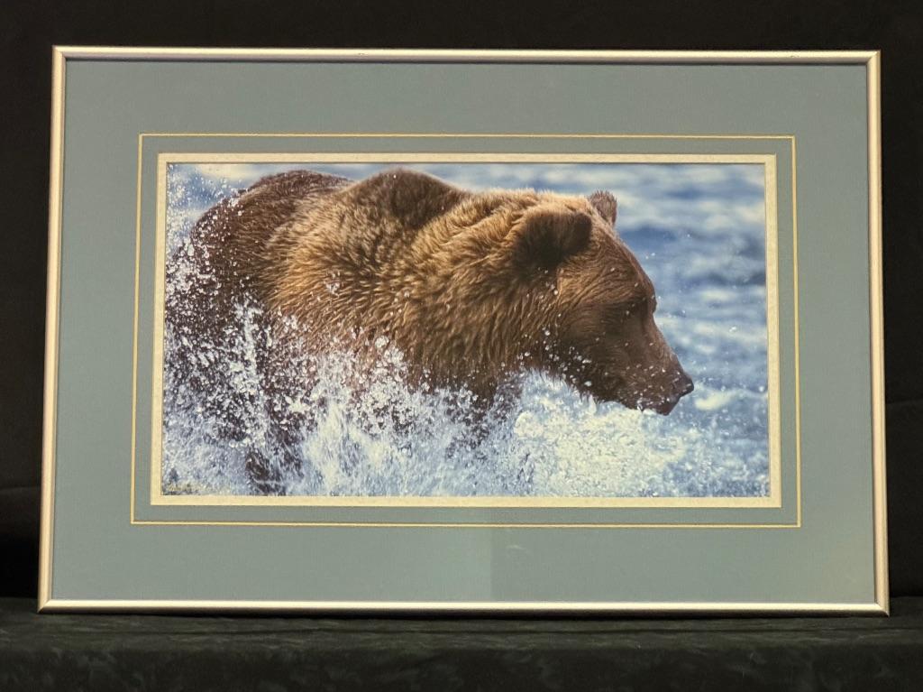 Kodiak Bear by Heath Johnson