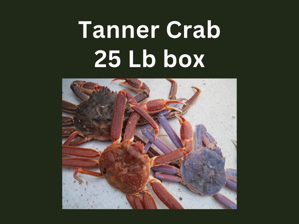Tanner Crab 25-lb Box donated by the Rose Fleet