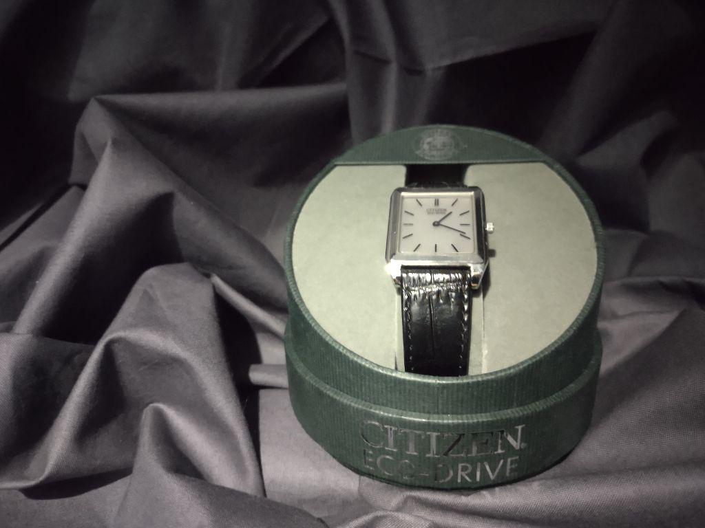 Citizens Eco-Drive Watch