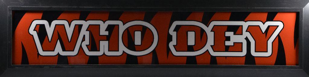 Who Dey Panoramic