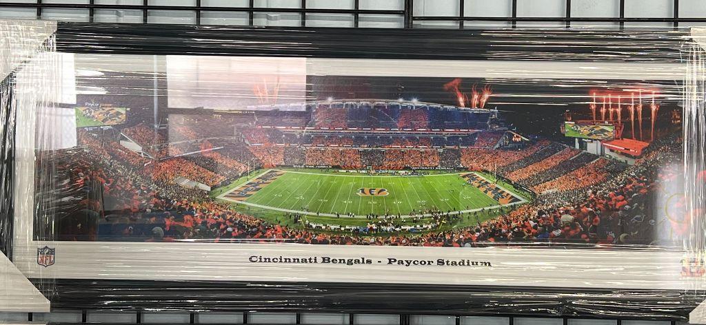 Bengals Panoramic