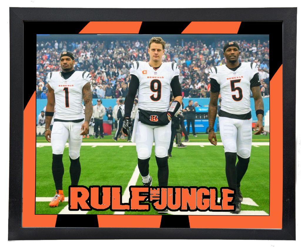 Rule The Jungle