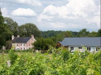 Zephaniah Farm Vineyard - Wine Tasting