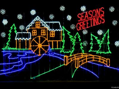 Festival Of Lights - Coupon for Admission