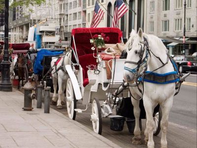 35 Minute Carriage Ride Tour- New York City