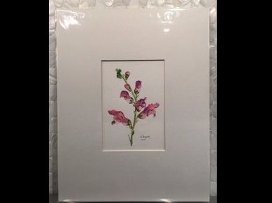 Snapdragon Original Watercolor