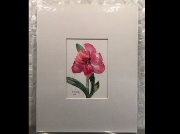 Amaryllis Original Watercolor