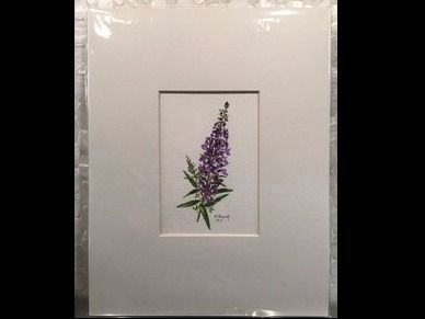 Angelonia Orginal Watercolor