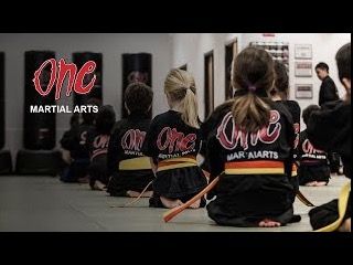 One Martial Arts - 1 Birthday Party Package