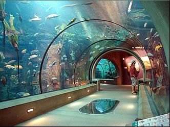 2 Admission Tickets to the Aquarium of the Pacific