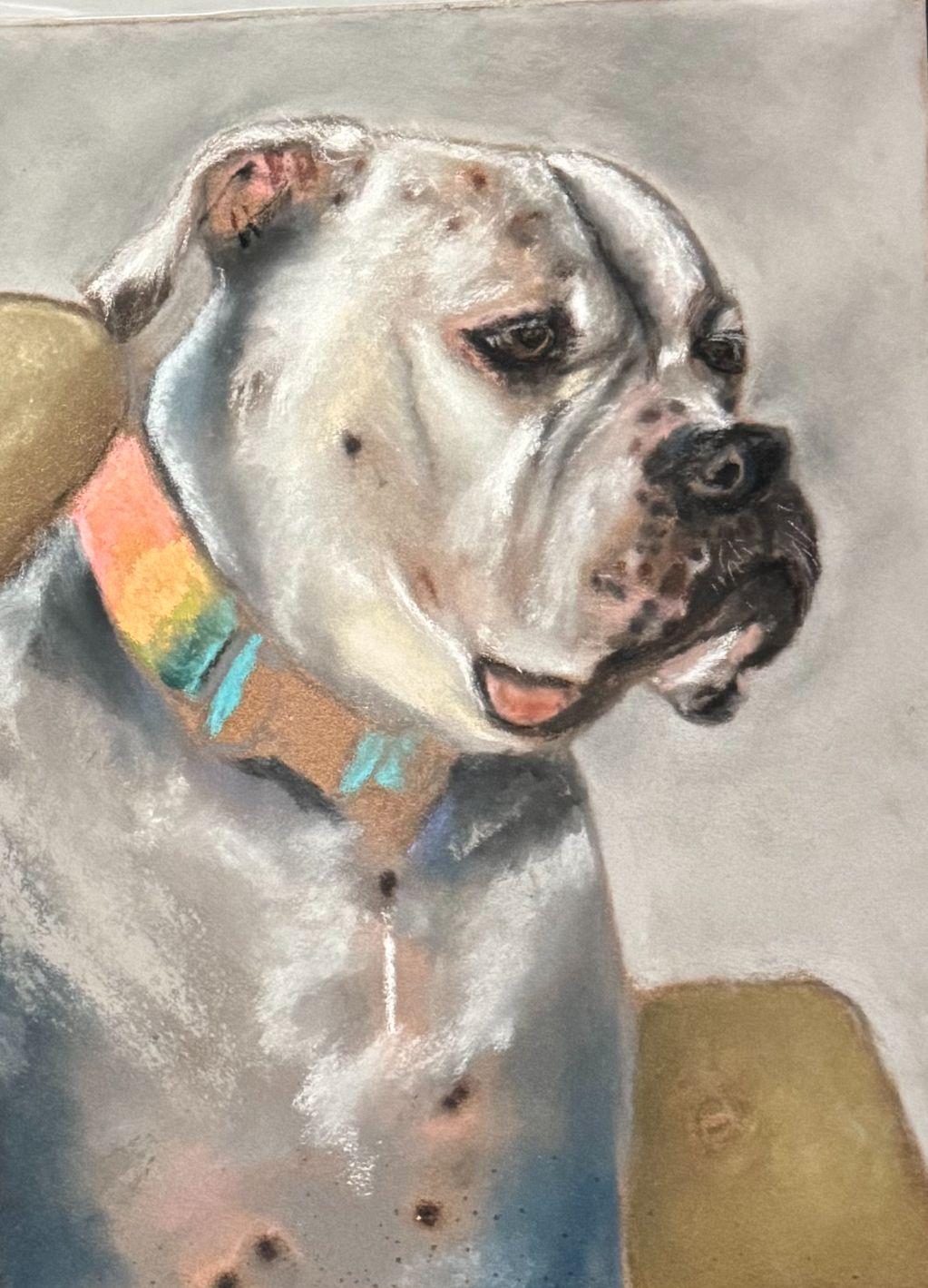 Custom Pet Portrait by Kate Dickinson