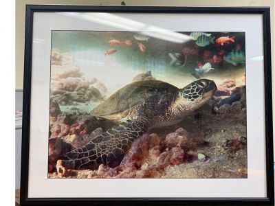 Framed sea turtle painting