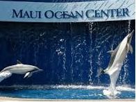 Two Journey Passes to Maui Ocean Center (One Day)