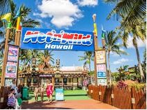 Wet N Wild Hawaii Admission Tickets for Four (4)