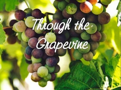 Through the <br /> Grapevine