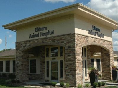 Elkhorn Animal Hospital Gift Certificate