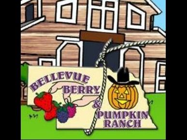 Bellevue Berry Farm and Pumpkin Patch