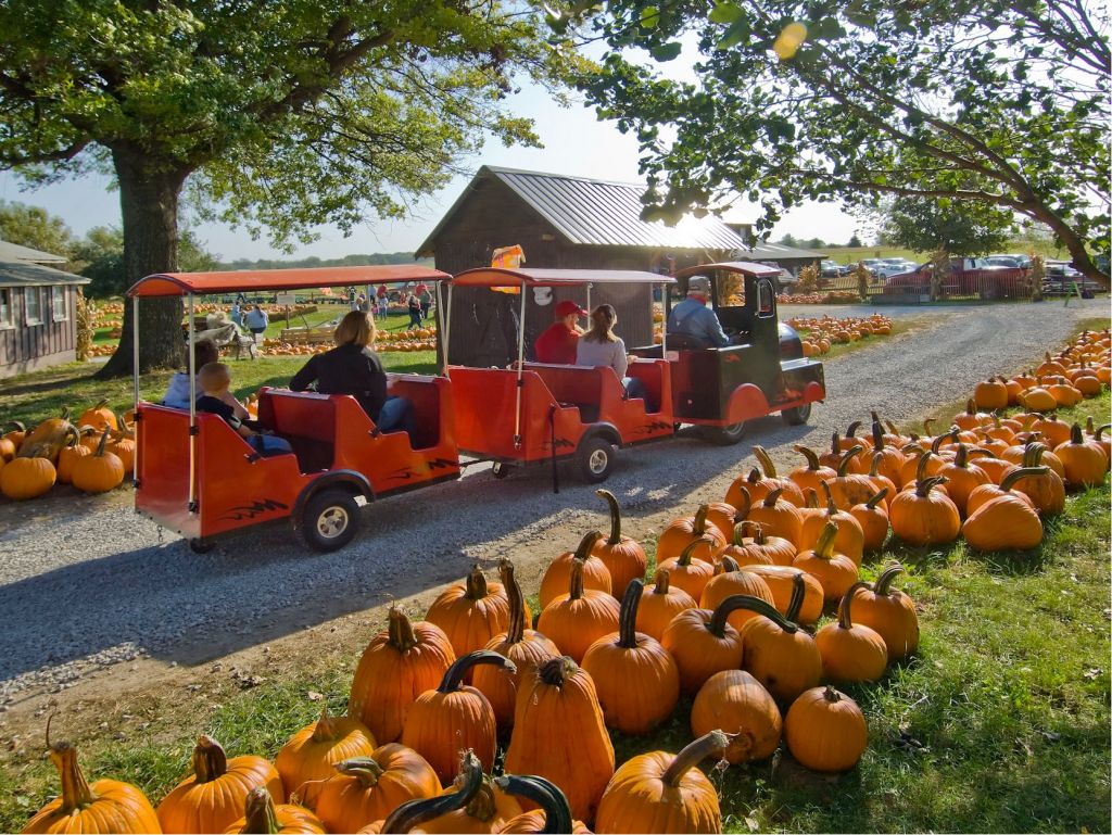 2 Admissions to Vala