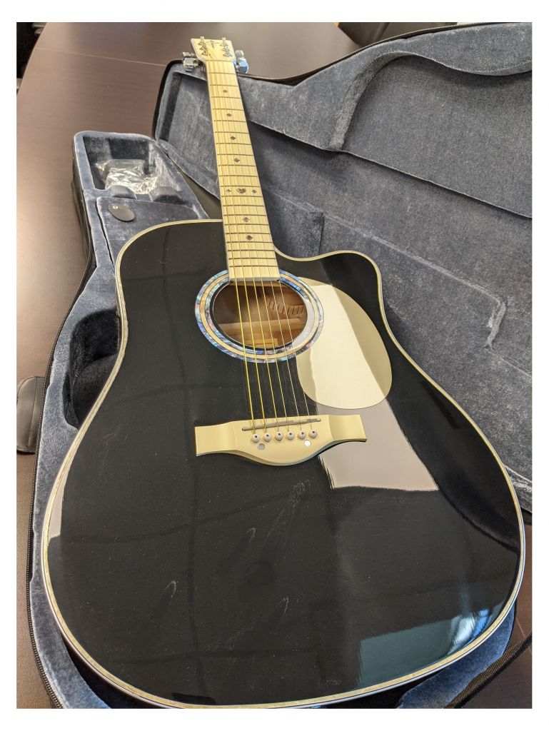 Esteban Acoustic-Electric Guitar Kit & Instructional DVDs