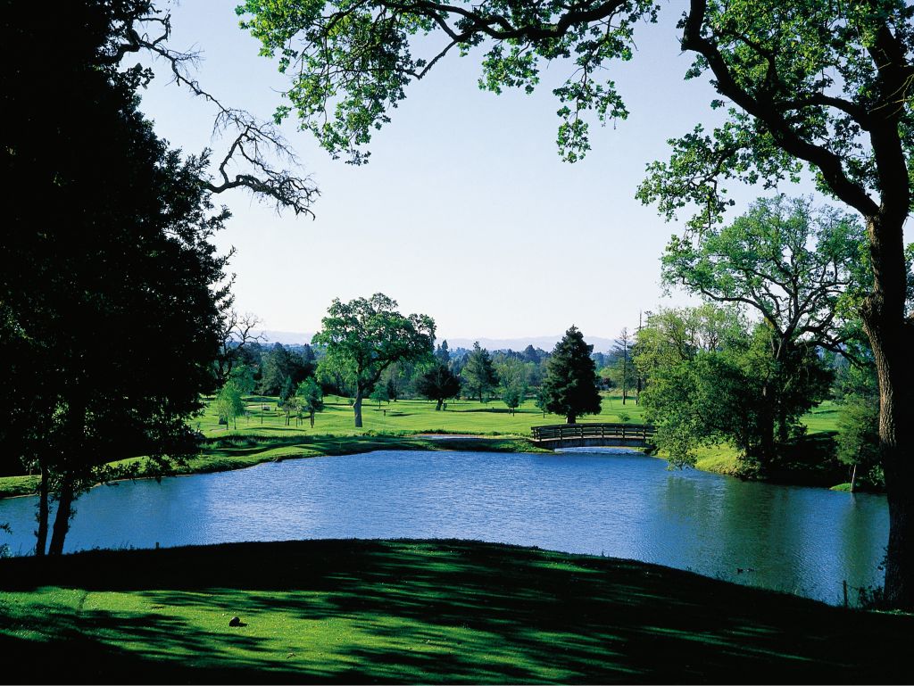 Sonoma, CA Wineries Escape