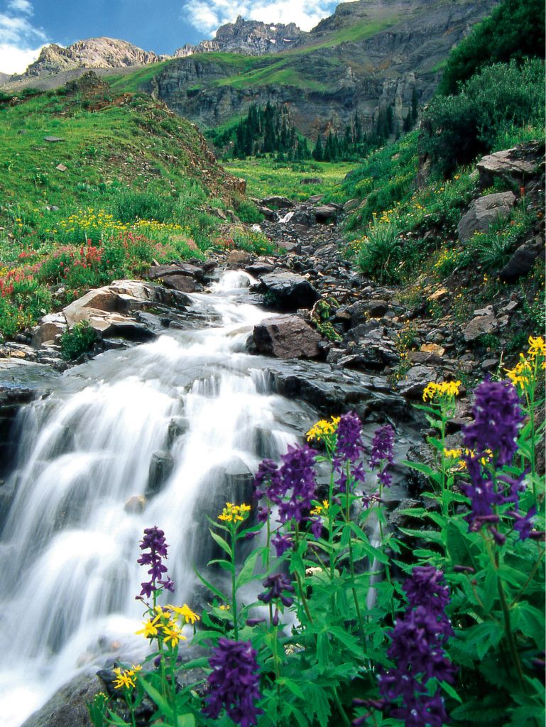 Telluride Family Skiing Vacation for 4