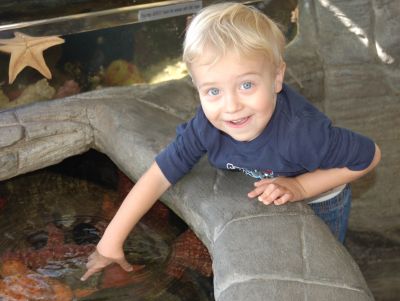 Roundhouse Aquarium Teaching Center Birthday Party or Scout Troop Visit