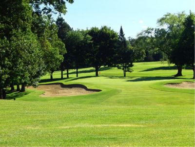 Foursome With Carts at Craig Woods