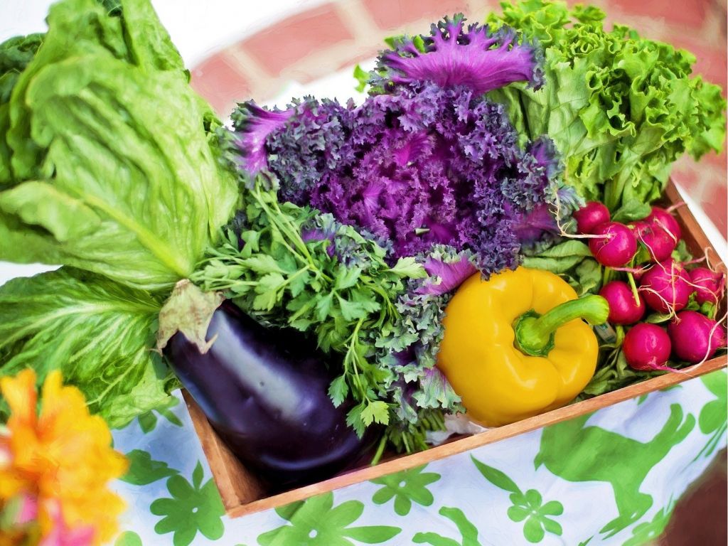 Garden Basket