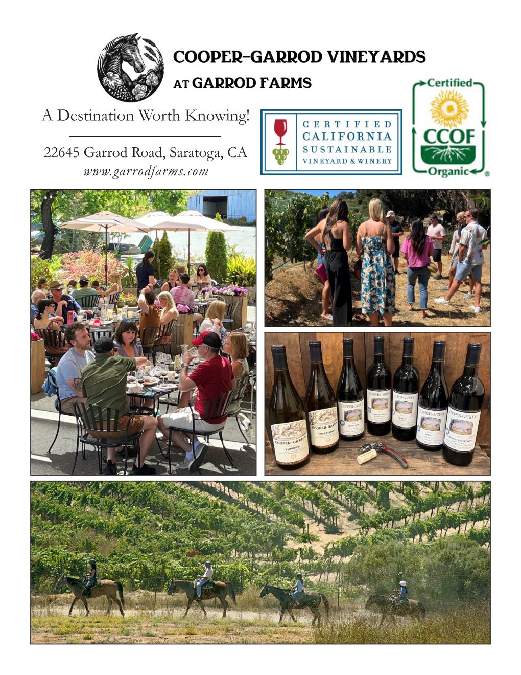 Cooper Garrod Vineyards - Stroll and Sip vineyard tour for 6