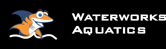 Waterworks aquatics - four Semi-Private Swim Lessons