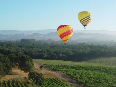 Sip and Soar Through Napa Valley