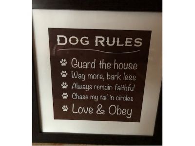 Dog Rules